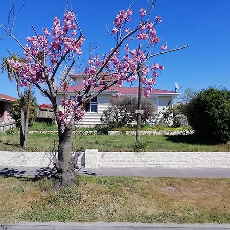 Homestay Double Room, Near The City Center Christchurch Exteriér fotografie