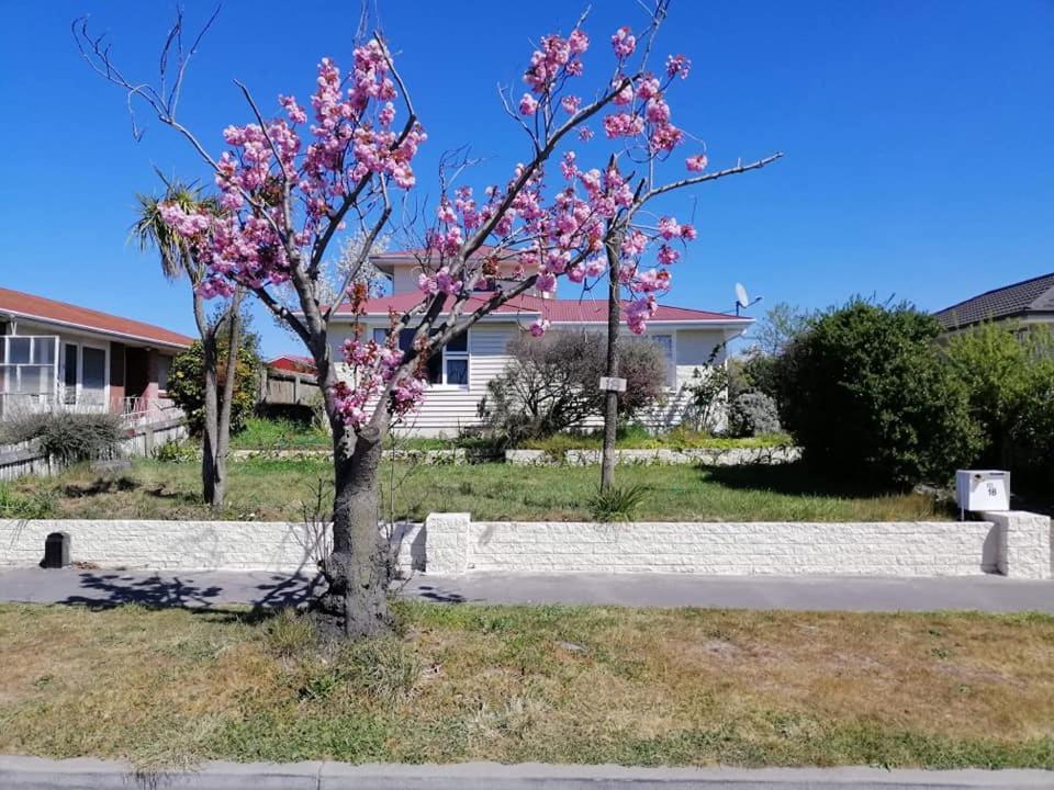 Homestay Double Room, Near The City Center Christchurch Exteriér fotografie